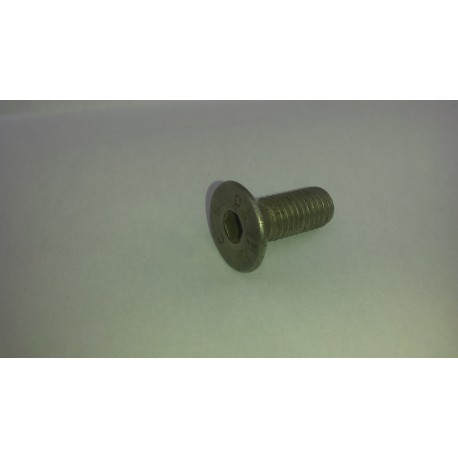 Tornillo avellando
