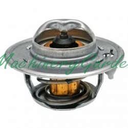 Termostato 74ºC de Ø 54 mm