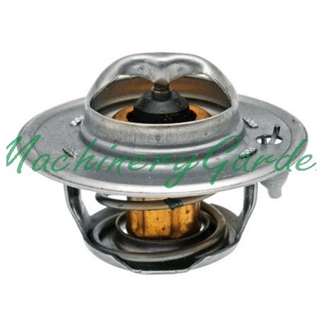 Termostato 74ºC de Ø 54 mm