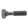 Tornillo de Cizalla