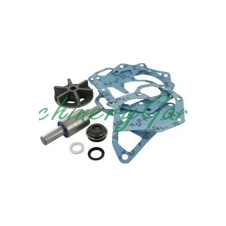 Kit de reparación bomba de agua John Deere 1620 1630 1635 2120 2135