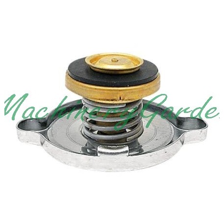 Tapón del radiador Massey Ferguson 135 165 178 188