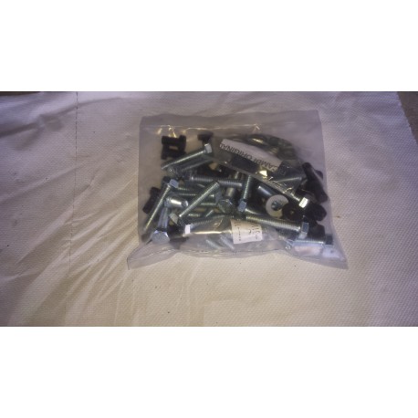 BCS Tornillos Varios
