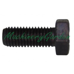 Tornillo Puente Dana