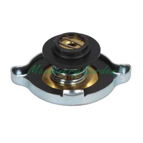 Tapón radiador Massey Ferguson