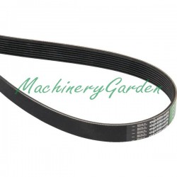 Correa  acanalada 8 PK x 1620 Case Magnum MX 180 MX 200 MX 220