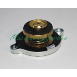 Tapón vaso expasión Massey Ferguson 5400 6400 7400 8200 y Bopcat