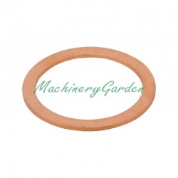 Arandela de sellado Massey Ferguson 7716 7716S