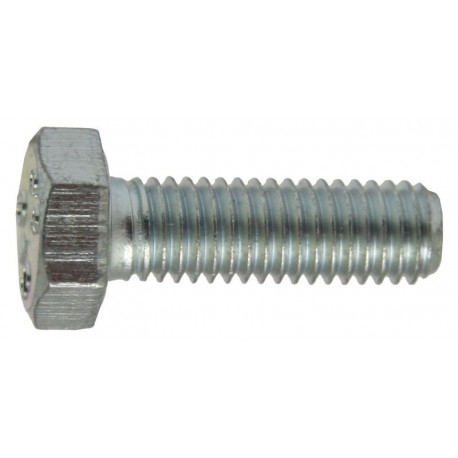 Tornillo hexagonal (M12x65)