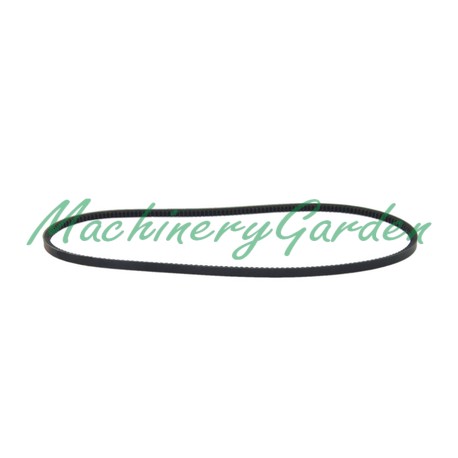 CORREA TRAPEZOIDAL DENTADA AVX13 - 1312 La