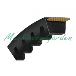 CORREA TRAPEZOIDAL DENTADA AVX17 - 1025 La