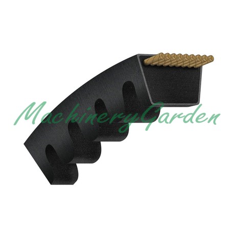CORREA TRAPEZOIDAL DENTADA AVX17 - 1025 La
