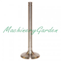 VÁLVULA DE ADMISIÓN Ø 49.30 x 9.97 mm - L 138.60 mm - 45 °