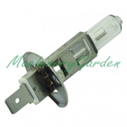 LAMPARA HALOGENA 12 V - 55 W - P14.5S - H1