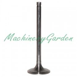 VÁLVULA DE ADMISIÓN Ø 47.50 x 9.40 mm - L 146.80 mm - 30 °