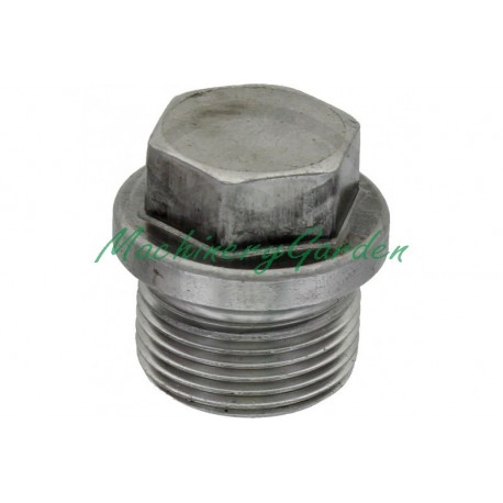 Tapón roscado M22x1,5 DIN 910