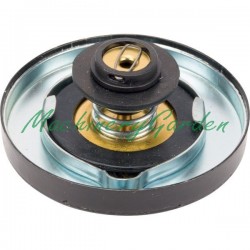 Tapón del radiador