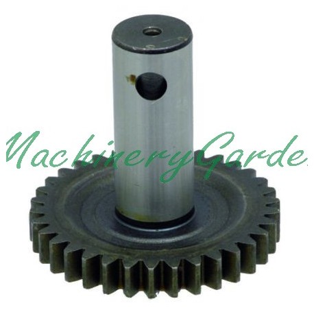 Piñon con eje Z 34