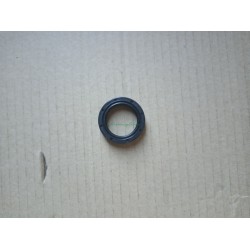 Reten motor vivoil