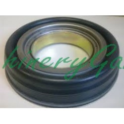 Reten carcasa de mangueta