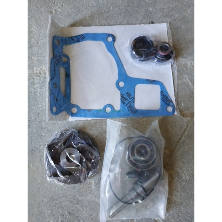 Kit reparacion Bomba de agua John Deere 4055 4755 4955