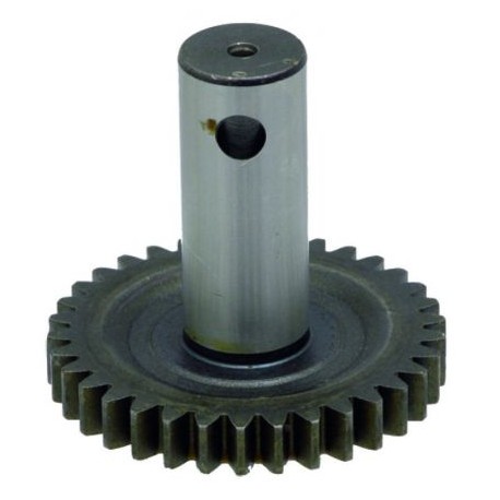 Rueda dentada de accionamiento