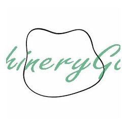 Retén piston frenos traseros  John Deere 1020 1635 2135 2040 2450
