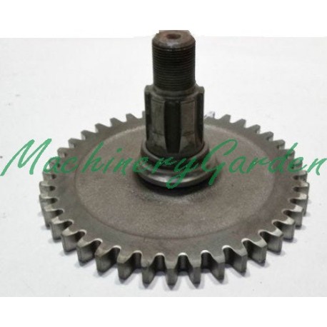 Piñon Segadora discos Kuhn