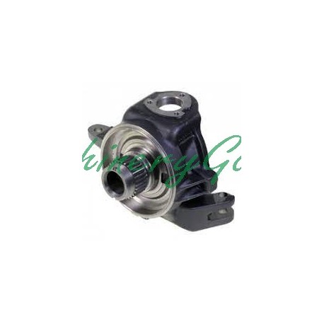 Porta manguetas izquierdo New Holland TM115 TM140 TS 110 TS 135