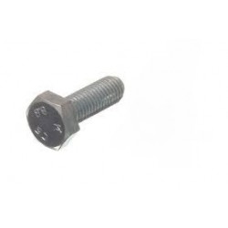 Tornillo (M10x30)